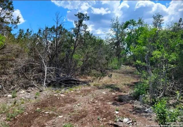 $90,000 | Lot 15 County Road 2481, Hondo, TX 78861