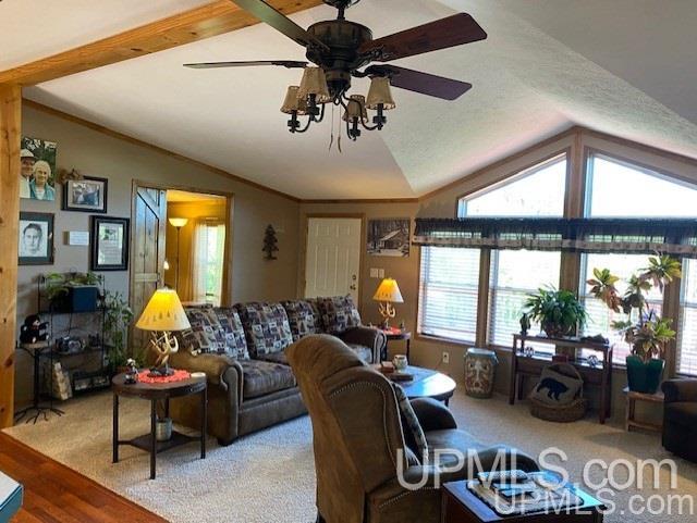 3980 County Road 476 Ishpeming, MI 49849 - Photo 7 of 37