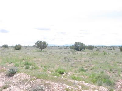 0 Woodlands Ranch Road East Williams, AZ 86046 - Photo 1 of 1 Primary Photo