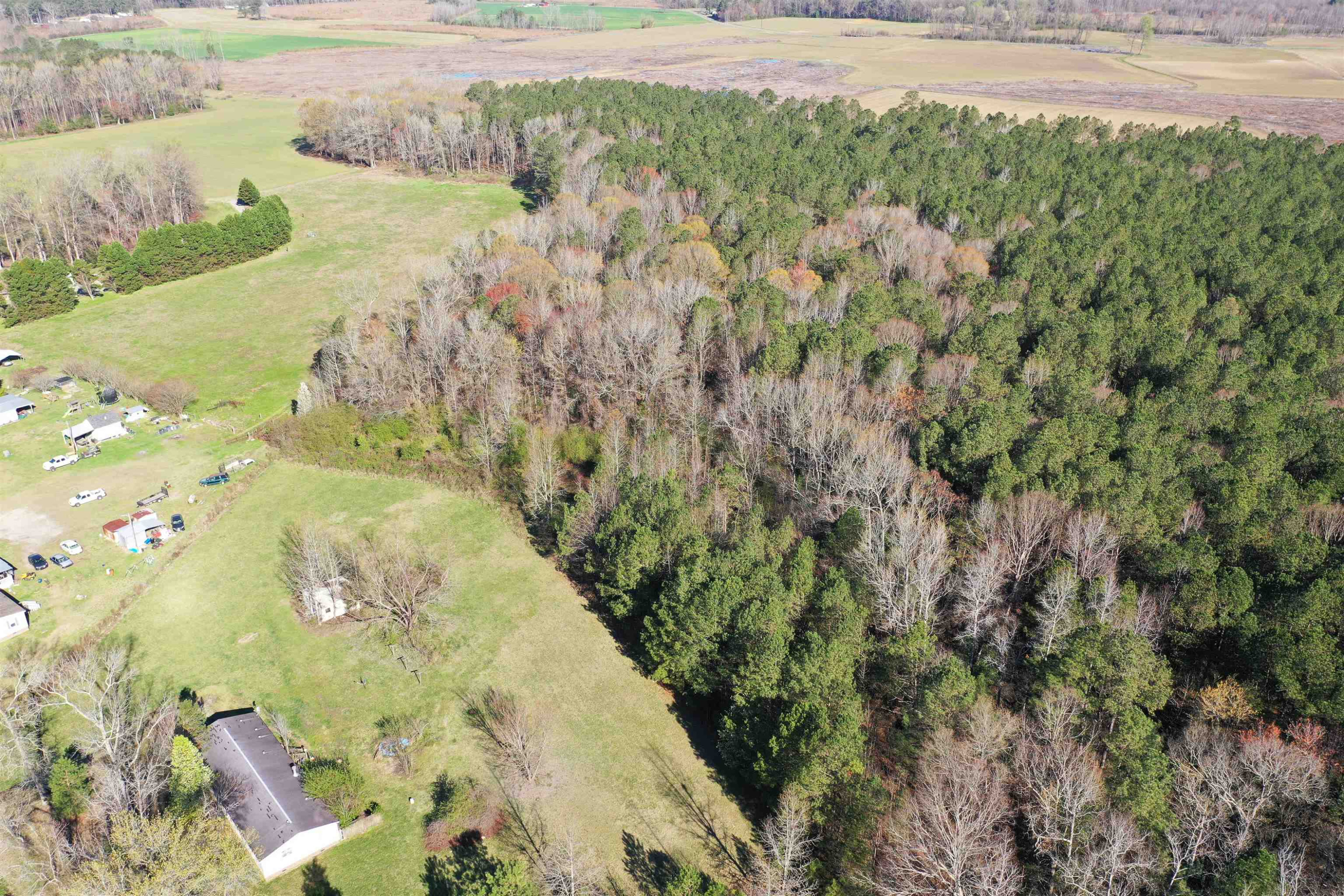 0 Reedy Branch Road Rocky Mount, NC 27803 - Photo 10 of 15 Photo 10