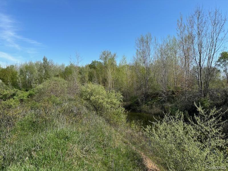 -parcel B Ambrose Road Mayville, MI 48744 - Photo 16 of 18 Gallery Image 16