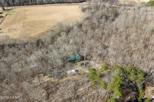 a view of a yard with a trees