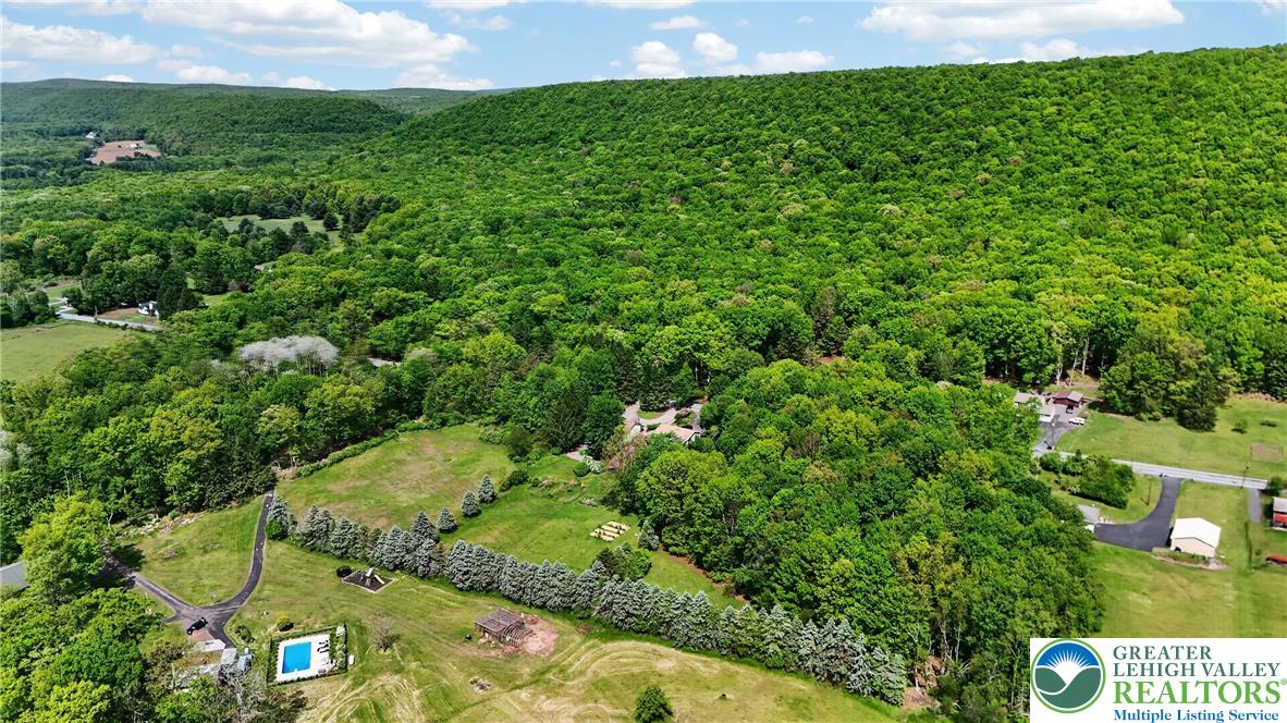 Ben Titus Road Tamaqua, PA 18252 - Photo 5 of 7 Discover expansive acreage with a private pool nestled into a verdant landscape.