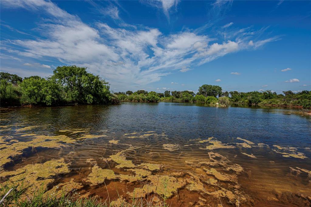1217 Highway 2731 Rising Star, TX 76471 - Photo 6 of 9