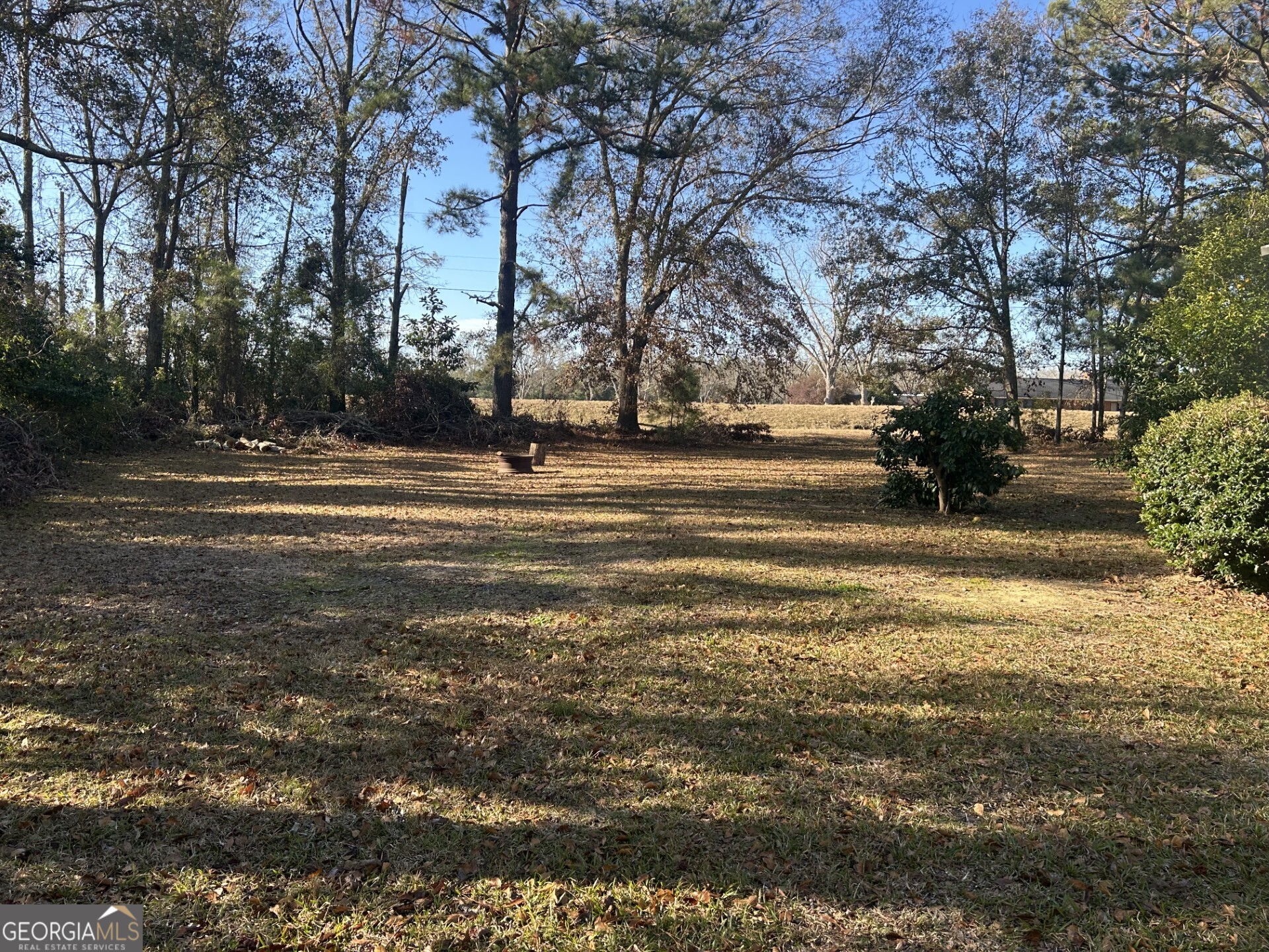 437 Burkhalter Circle Claxton, GA 30417 - Photo 4 of 8 a view of a yard with large trees