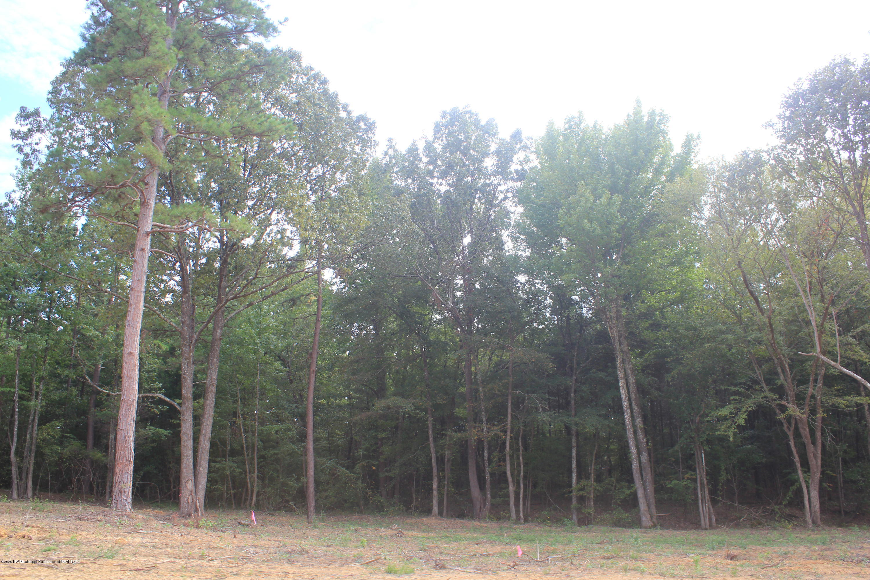 36 Hayward Road Byhalia, MS 38611 - Photo 28 of 28 IMG_4824