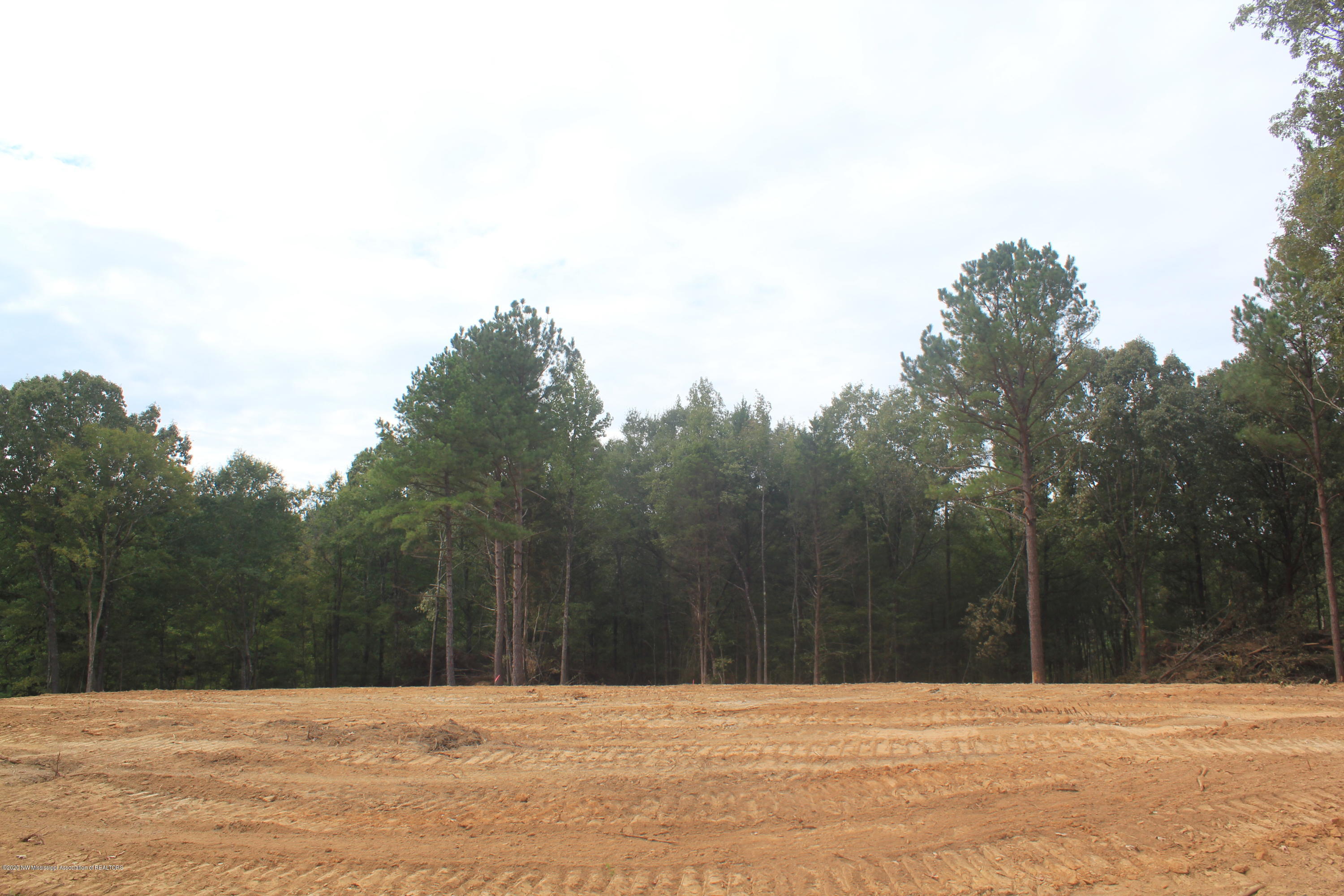 36 Hayward Road Byhalia, MS 38611 - Photo 4 of 28 IMG_4800