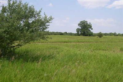Parmalee Road, Unit APP 5 Middleville, MI 49333 - Photo 1 of 1 Primary Photo