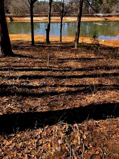 339 Century Drive Martin, GA 30557 - Photo 1 of 25