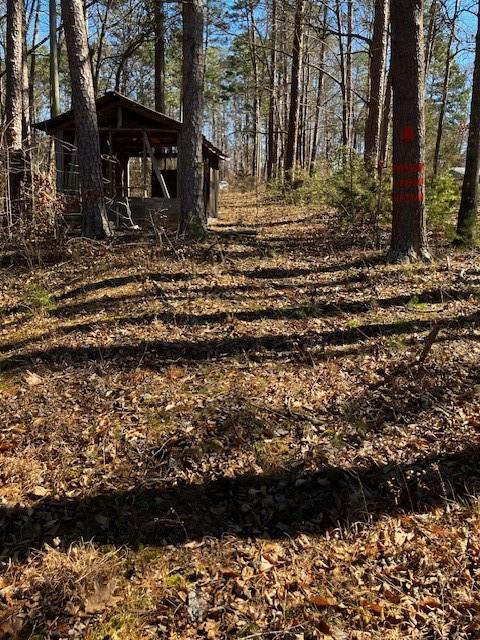 339 Century Drive Martin, GA 30557 - Photo 12 of 25