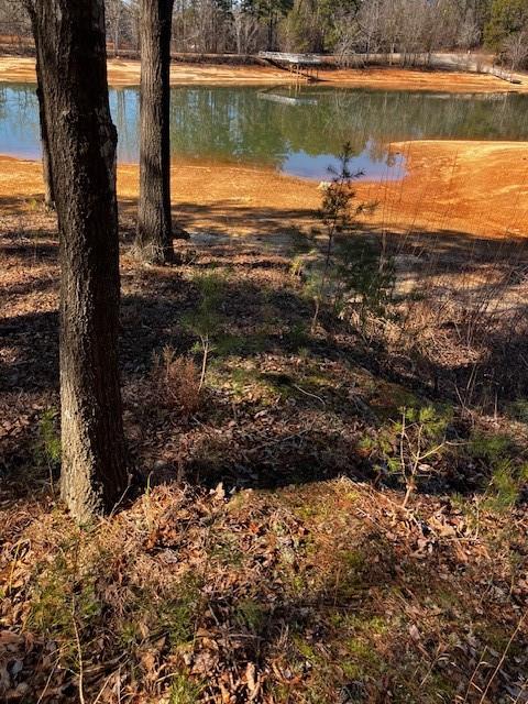 339 Century Drive Martin, GA 30557 - Photo 14 of 25