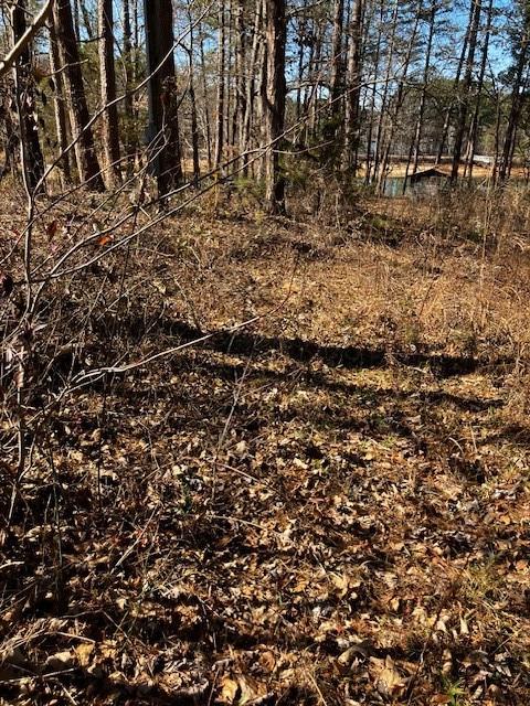 339 Century Drive Martin, GA 30557 - Photo 16 of 25