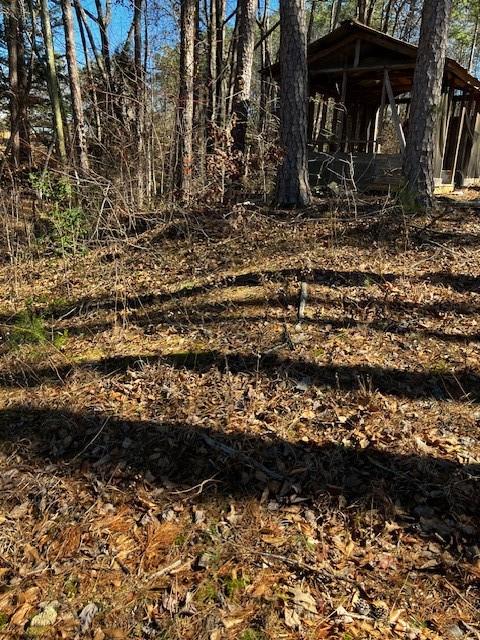 339 Century Drive Martin, GA 30557 - Photo 18 of 25