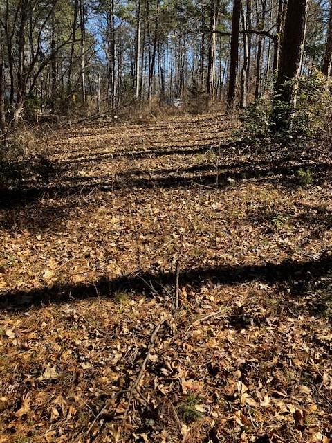339 Century Drive Martin, GA 30557 - Photo 20 of 25