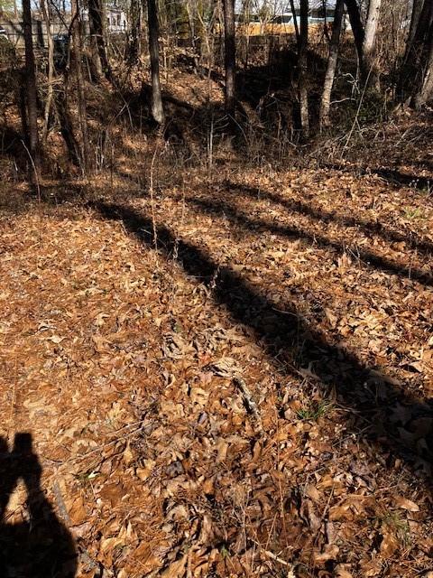 339 Century Drive Martin, GA 30557 - Photo 21 of 25