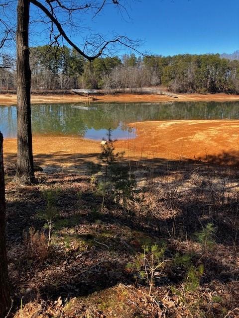 339 Century Drive Martin, GA 30557 - Photo 5 of 25