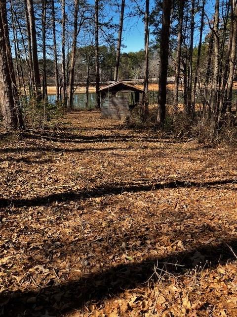 339 Century Drive Martin, GA 30557 - Photo 10 of 25