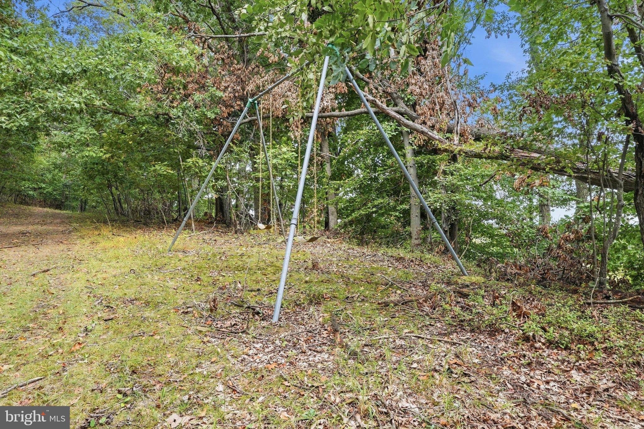 8613 Ramsburg Road Thurmont, MD 21788 - Photo 62 of 82 Swing above Monocacy / can see Sugarloaf Mountain