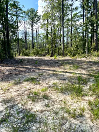 $299,999 | 280 Donnie Davis Road, Smyrna, NC 28579