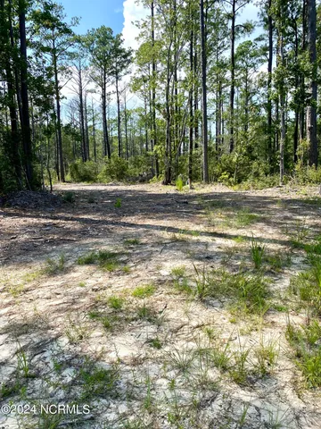 $350,000 | 280 Donnie Davis Road, Smyrna, NC 28579