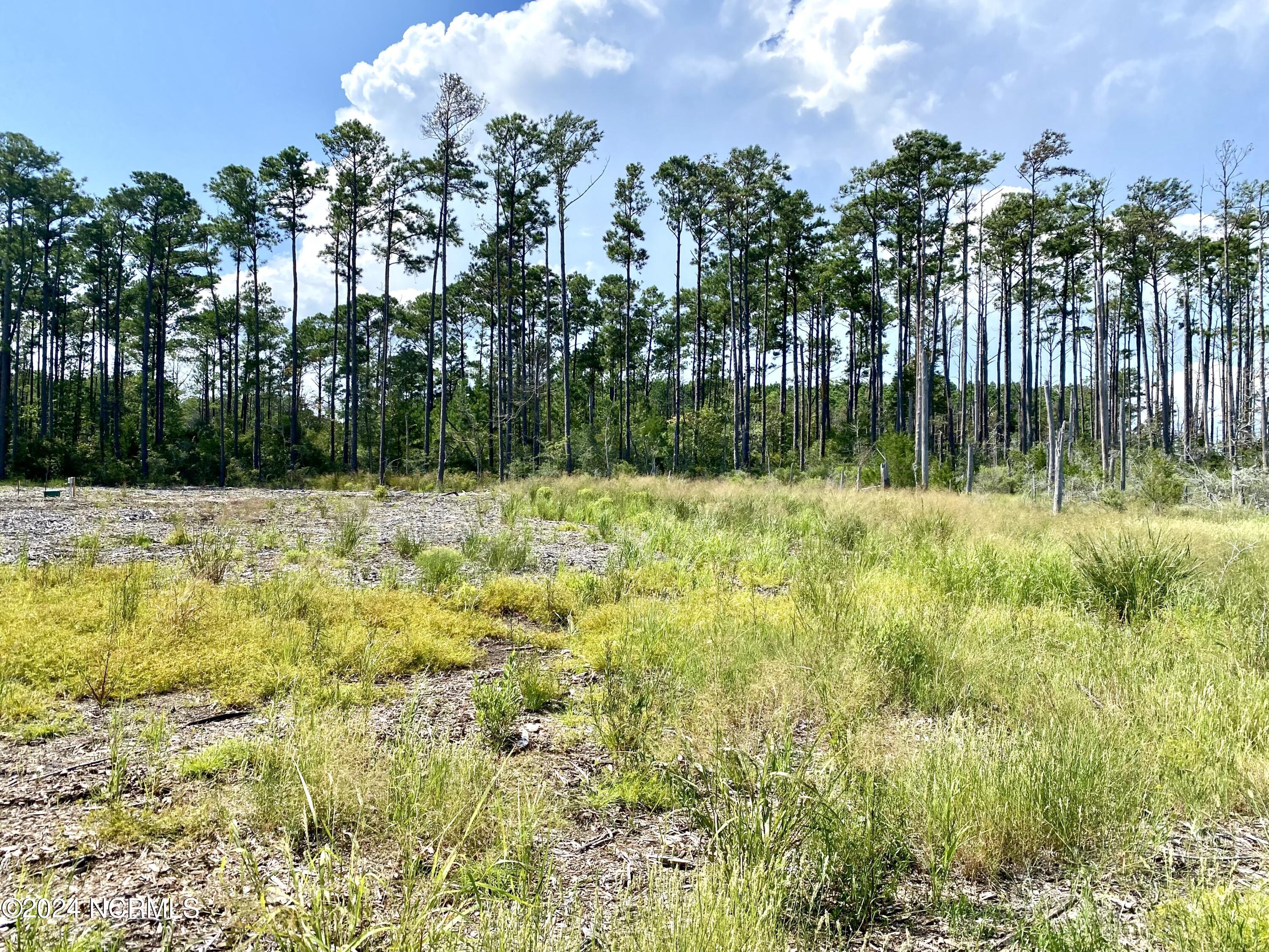 280 Donnie Davis Road Smyrna, NC 28579 - Photo 17 of 21 Plenty of space