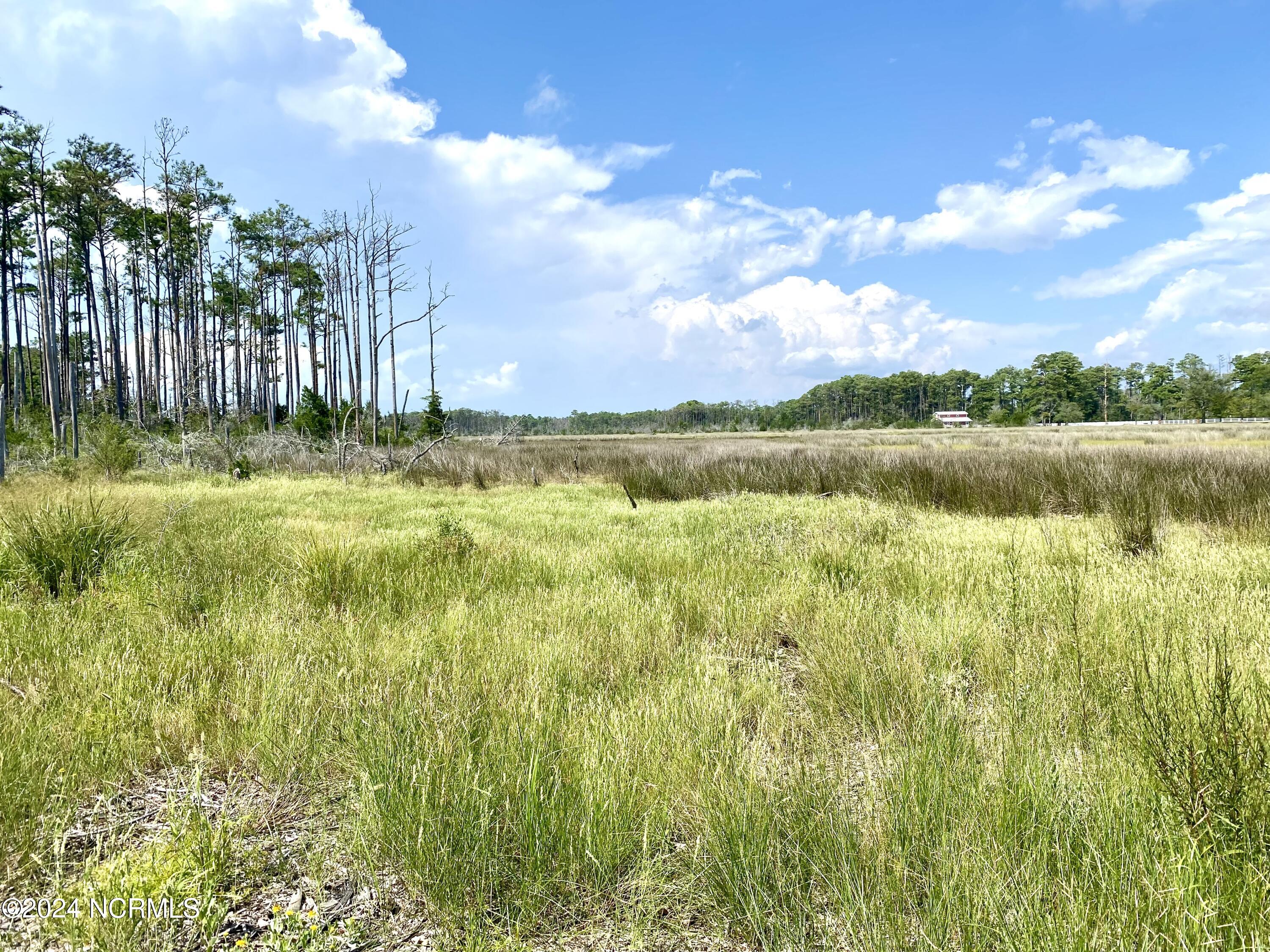 280 Donnie Davis Road Smyrna, NC 28579 - Photo 18 of 21 Serene setting