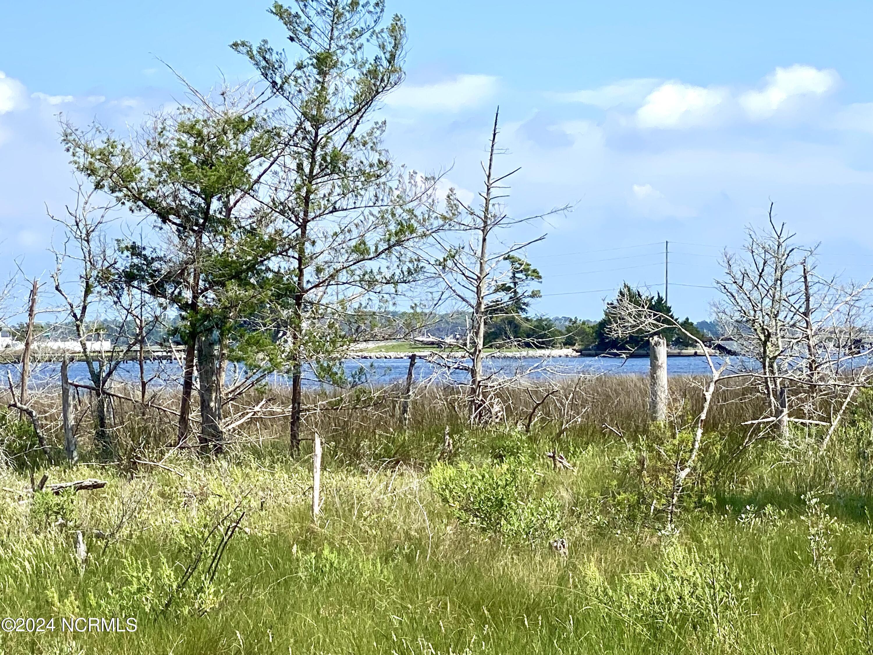 280 Donnie Davis Road Smyrna, NC 28579 - Photo 19 of 21 View to Williston Creek