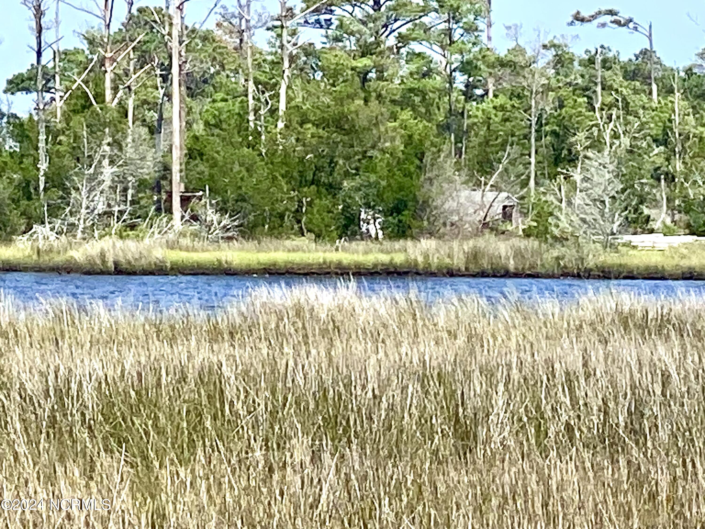 280 Donnie Davis Road Smyrna, NC 28579 - Photo 20 of 21 Marsh and creek