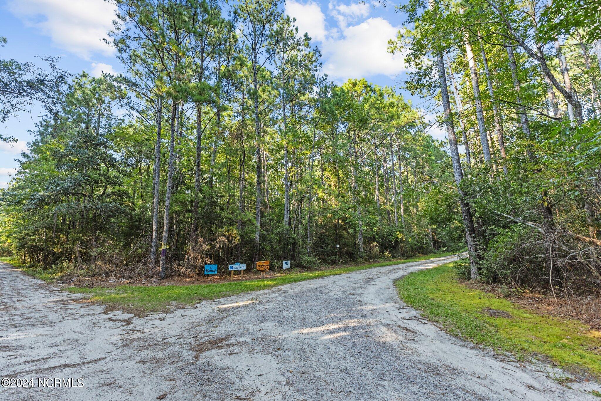 280 Donnie Davis Road Smyrna, NC 28579 - Photo 6 of 21 Access easement
