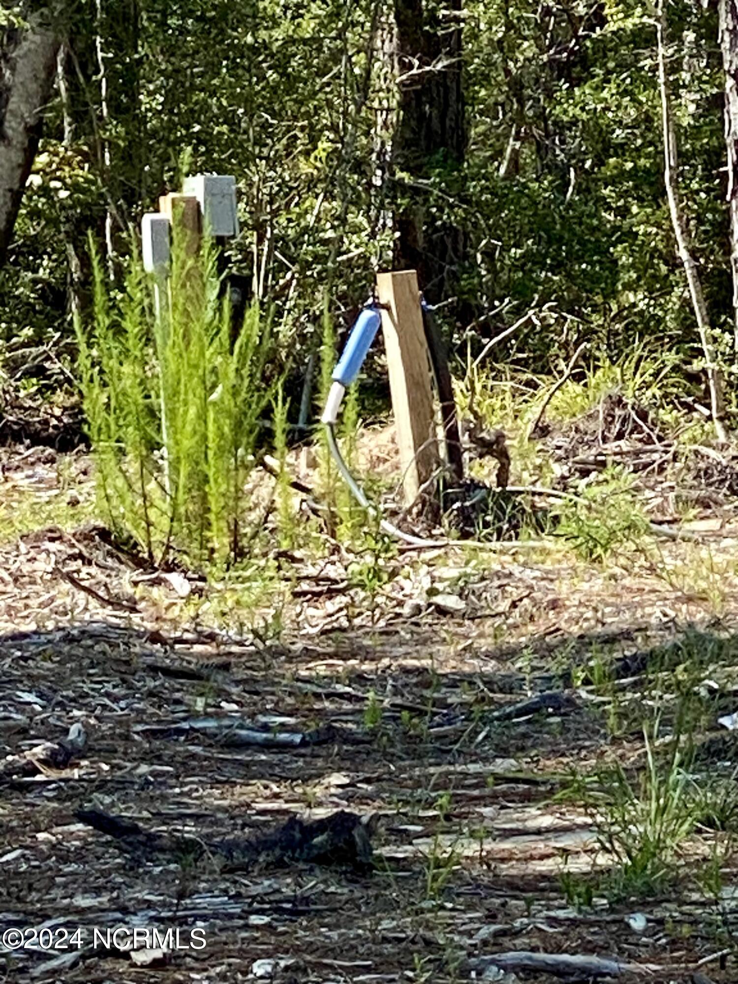 280 Donnie Davis Road Smyrna, NC 28579 - Photo 9 of 21 Well drilled and water on site