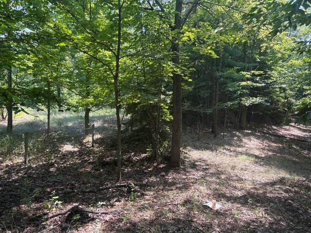 Erdt Road Suttons Bay, MI 49682 - Photo 1 of 36 Gallery Image 1