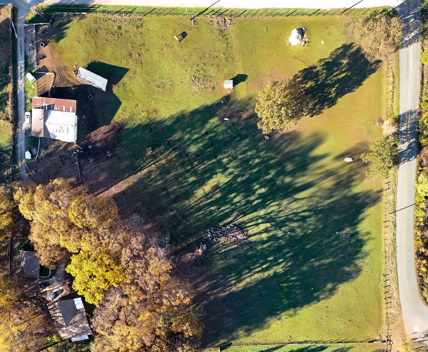 33 Stanley Road West Point, CA 95255 - Photo 3 of 46 a view of a yard with plants