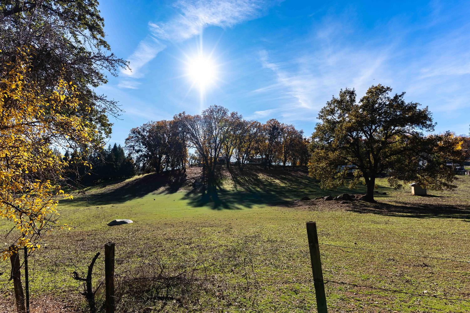 33 Stanley Road West Point, CA 95255 - Photo 31 of 46 a view of a yard with a house in the background