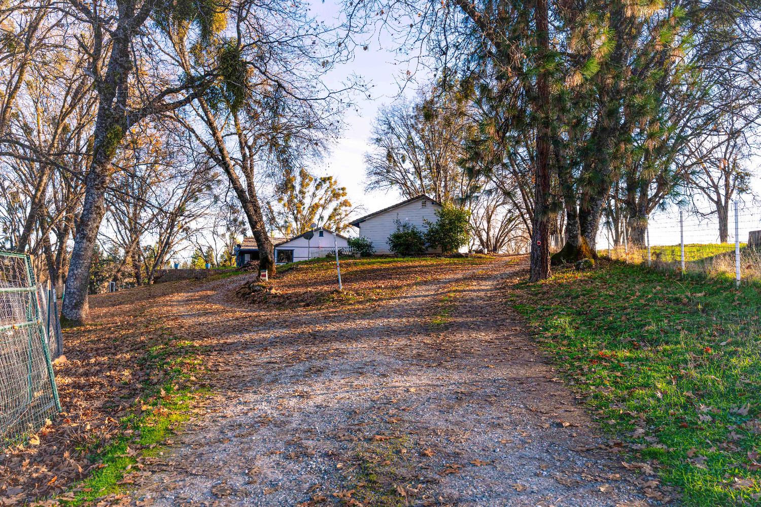 33 Stanley Road West Point, CA 95255 - Photo 34 of 51