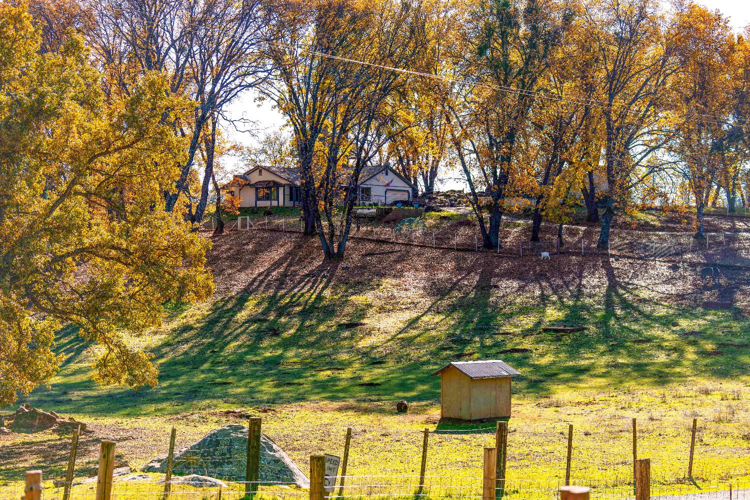 33 Stanley Road West Point, CA 95255 - Photo 35 of 51