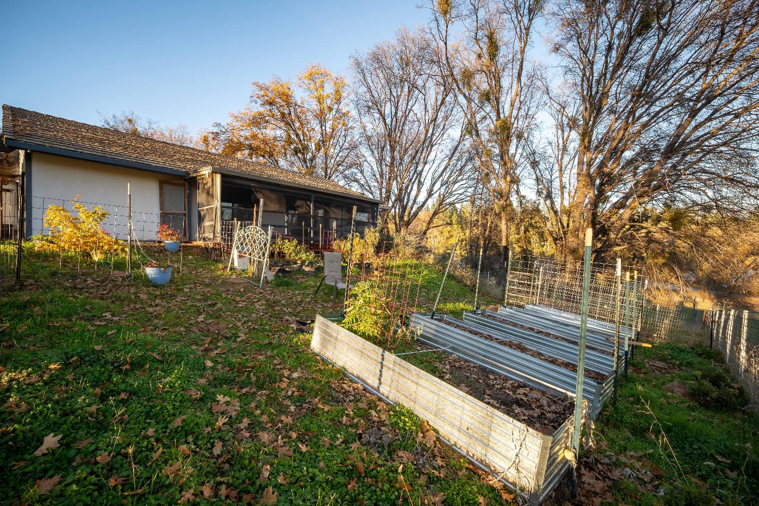 33 Stanley Road West Point, CA 95255 - Photo 40 of 46 a backyard of a house with lots of green space