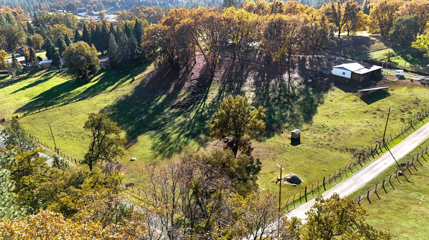 33 Stanley Road West Point, CA 95255 - Photo 4 of 46 a view of swimming pool with a yard and plants