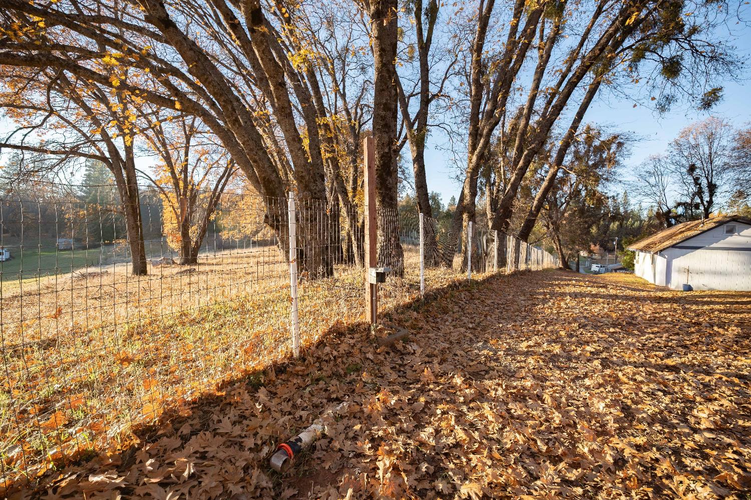 33 Stanley Road West Point, CA 95255 - Photo 47 of 51