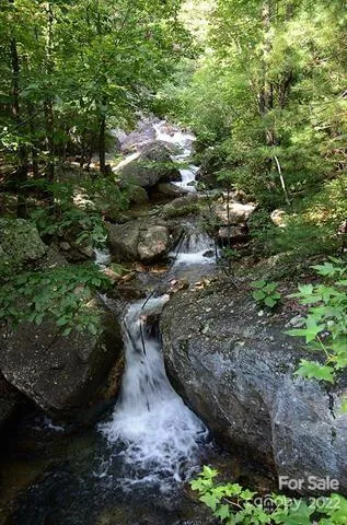 a view of a forest with trees