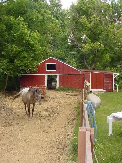 2467 Carthage Road California, KY 41007 - Photo 6 of 8