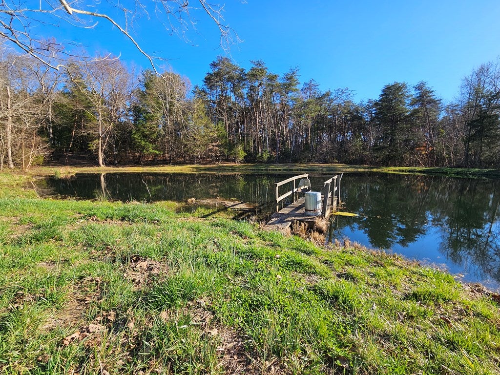 634 Salem Church Road Dillwyn, VA 23936 - Photo 29 of 36 Gallery Image 29