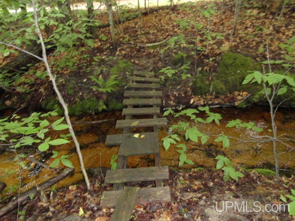 Tbd Wardles Way, Unit 1 Shingleton, MI 49884 - Photo 13 of 19