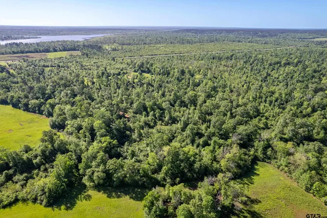 a view of a city with lush green forest