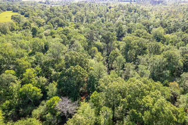 view of a lots of trees and bushes