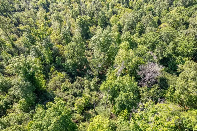 an aerial view of residential house with space and trees all around