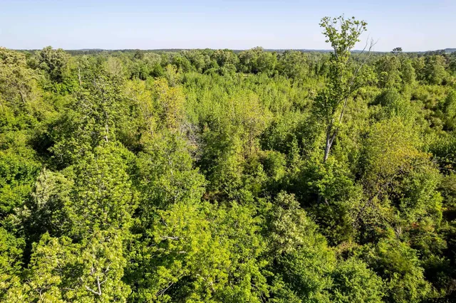 a view of a lake view with a garden