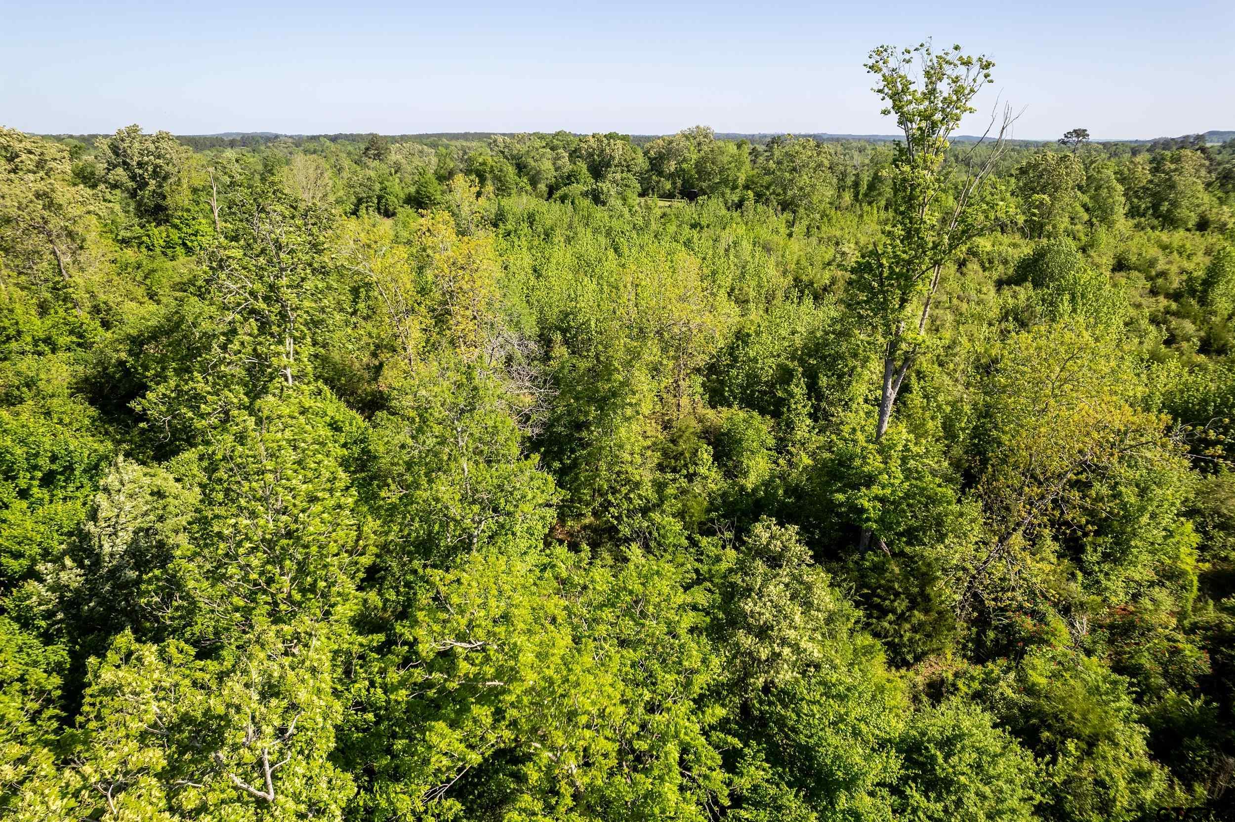 1111 Highway 21 Alto, TX 75925 - Photo 32 of 35 a view of a lake view with a garden
