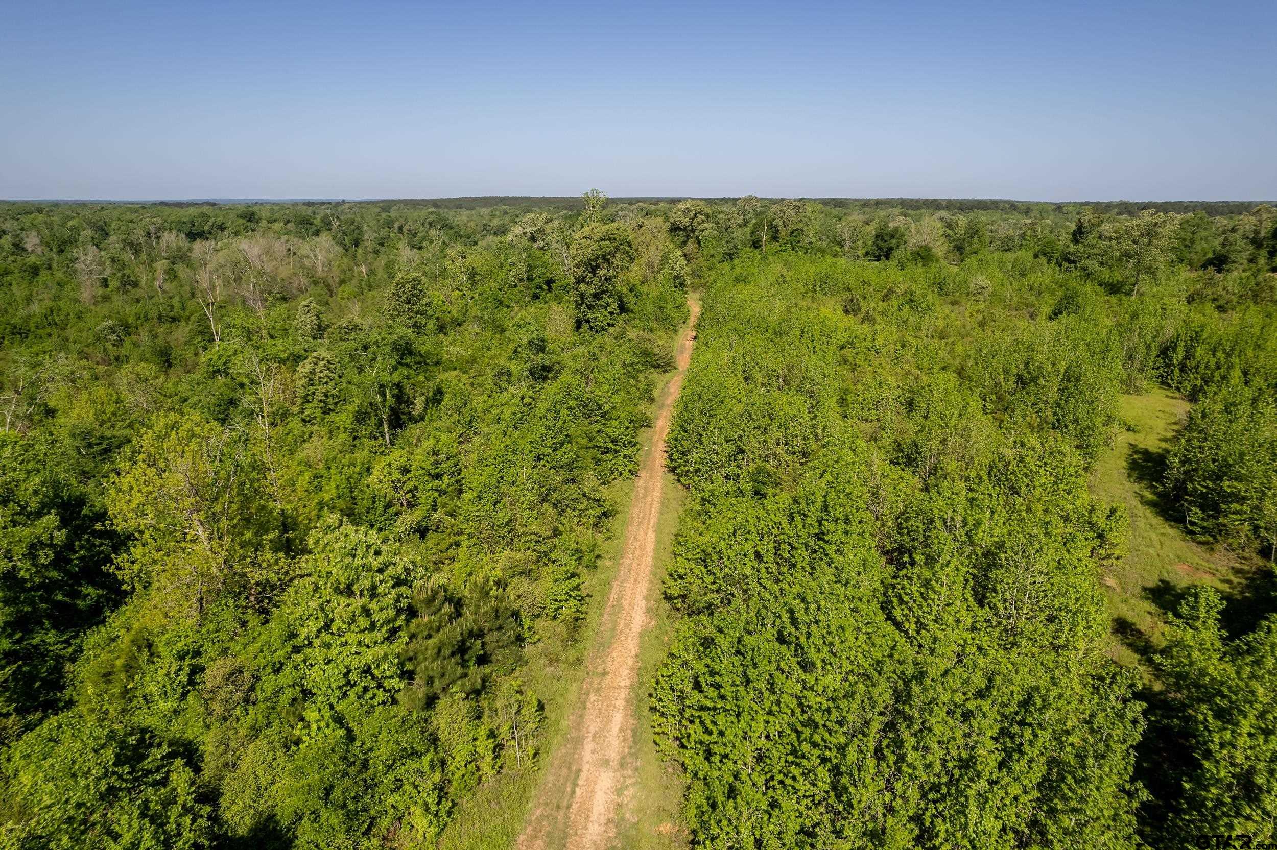 1111 Highway 21 Alto, TX 75925 - Photo 35 of 35 a view of a green field