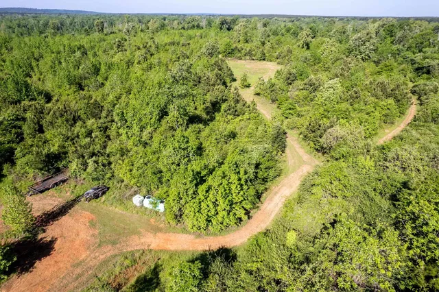 a view of a garden with a yard