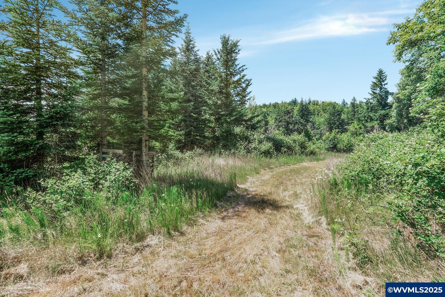 0 Gooseneck Road Sheridan, OR 97378 - Photo 16 of 39